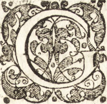 An illustration from Tychonis Brahe Astronomiae instauratae mechanica, 1602, leaf 80