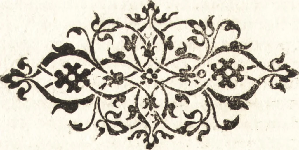 An illustration from Tychonis Brahe Astronomiae instauratae mechanica, 1602, leaf 87