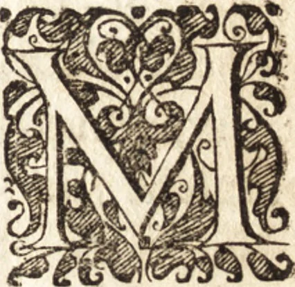 An illustration from Tychonis Brahe Astronomiae instauratae mechanica, 1602, leaf 88
