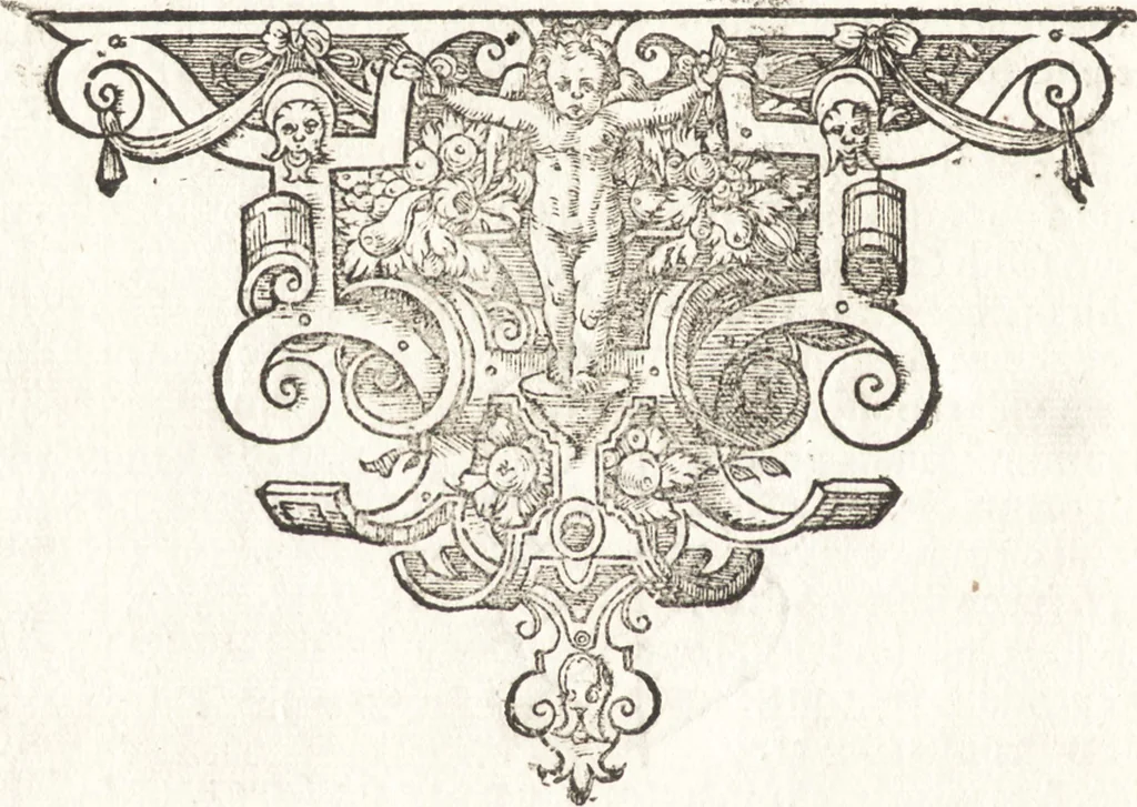 An illustration from Tychonis Brahe Astronomiae instauratae mechanica, 1602, leaf 9