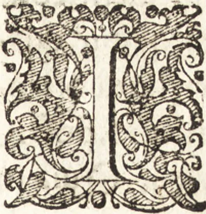 An illustration from Tychonis Brahe Astronomiae instauratae mechanica, 1602, leaf 90
