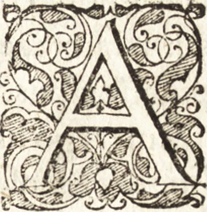 An illustration from Tychonis Brahe Astronomiae instauratae mechanica, 1602, leaf 92