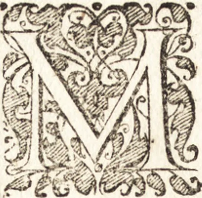 An illustration from Tychonis Brahe Astronomiae instauratae mechanica, 1602, leaf 95