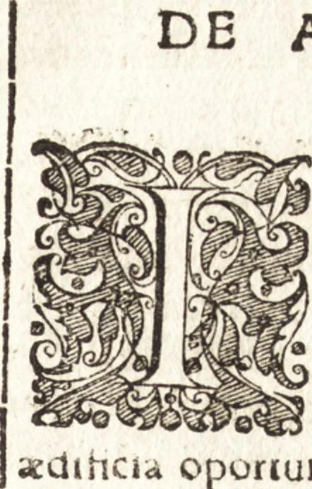 An illustration from Tychonis Brahe Astronomiae instauratae mechanica, 1602, leaf 98