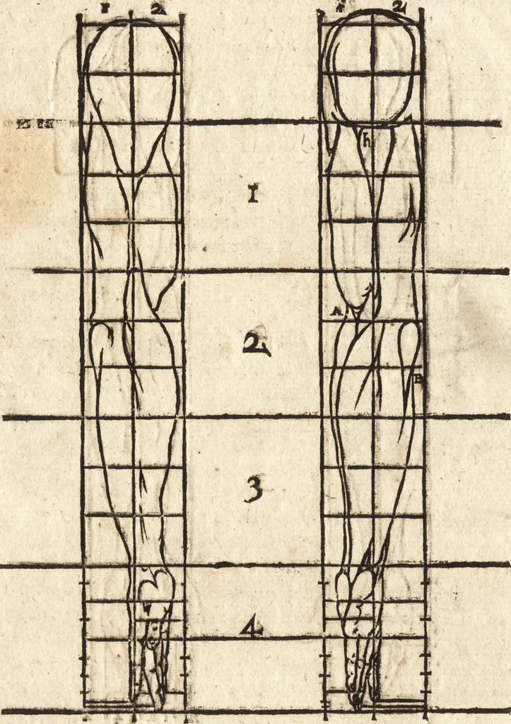 An illustration from Varia conmensuracion para le escultura y arquitectura, 1675, leaf 105