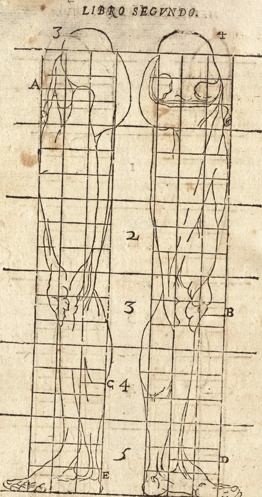 An illustration from Varia conmensuracion para le escultura y arquitectura, 1675, leaf 109