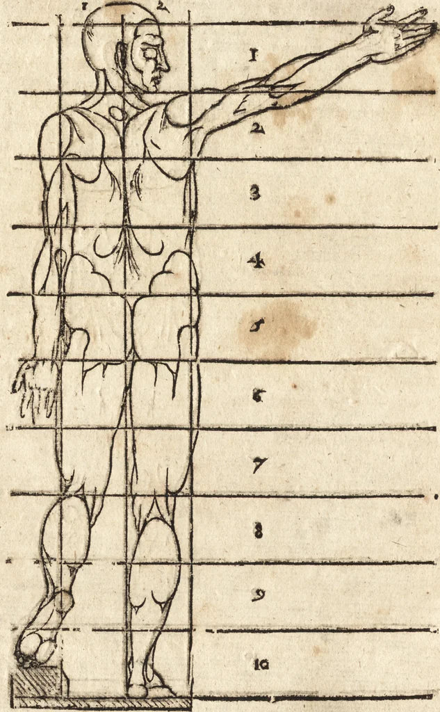 An illustration from Varia conmensuracion para le escultura y arquitectura, 1675, leaf 113