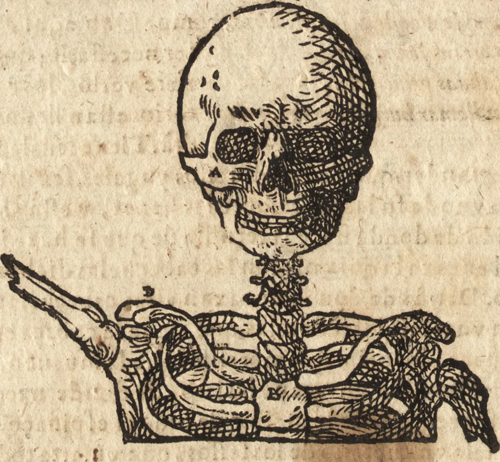 An illustration from Varia conmensuracion para le escultura y arquitectura, 1675, leaf 117