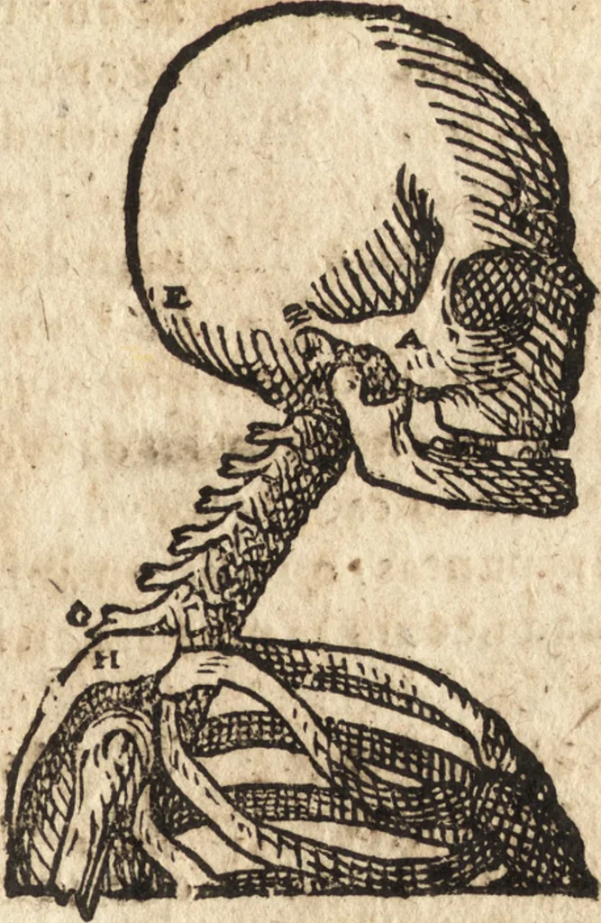 An illustration from Varia conmensuracion para le escultura y arquitectura, 1675, leaf 118