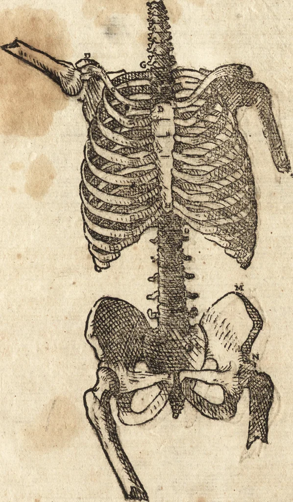 An illustration from Varia conmensuracion para le escultura y arquitectura, 1675, leaf 122