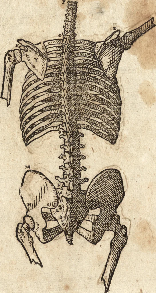 An illustration from Varia conmensuracion para le escultura y arquitectura, 1675, leaf 123