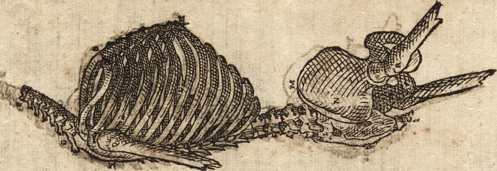An illustration from Varia conmensuracion para le escultura y arquitectura, 1675, leaf 125