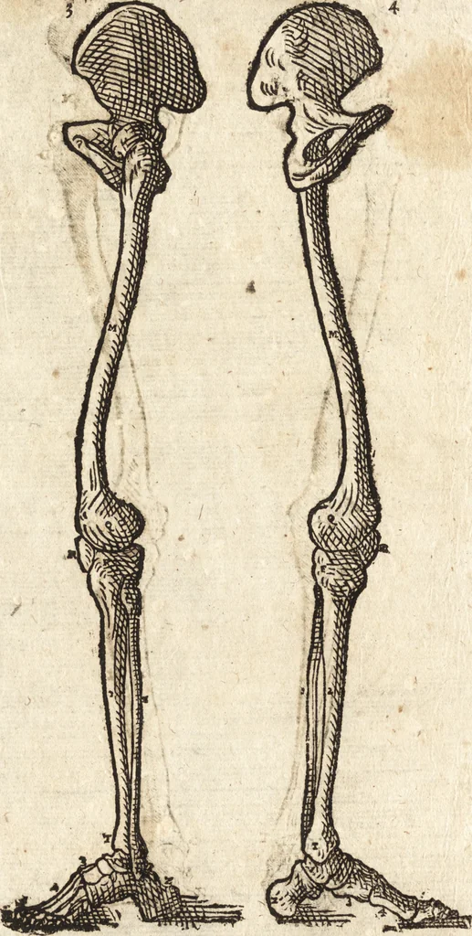 An illustration from Varia conmensuracion para le escultura y arquitectura, 1675, leaf 133