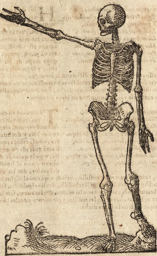 An illustration from Varia conmensuracion para le escultura y arquitectura, 1675, leaf 135
