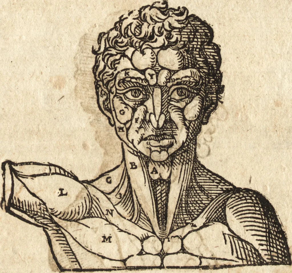 An illustration from Varia conmensuracion para le escultura y arquitectura, 1675, leaf 140