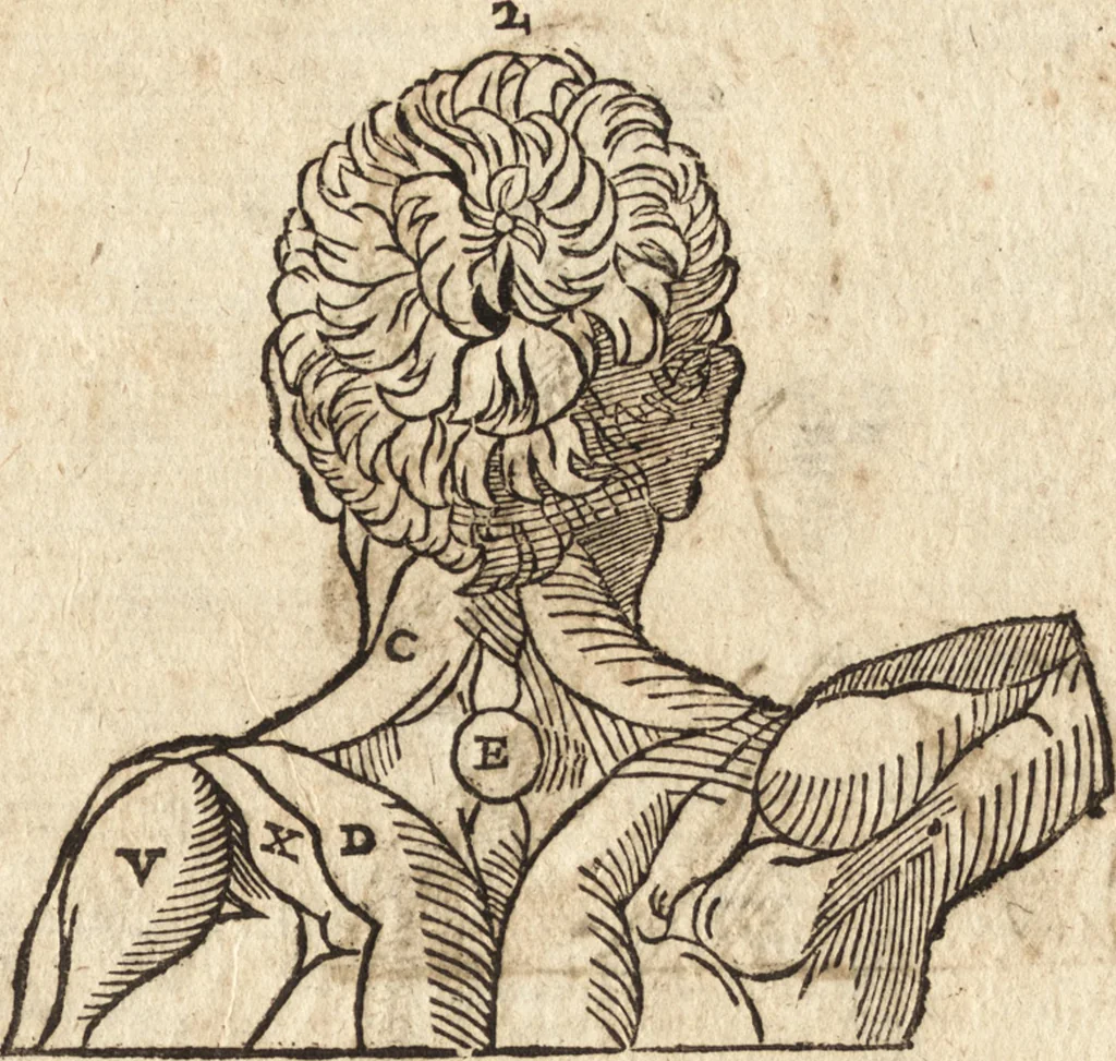 An illustration from Varia conmensuracion para le escultura y arquitectura, 1675, leaf 140