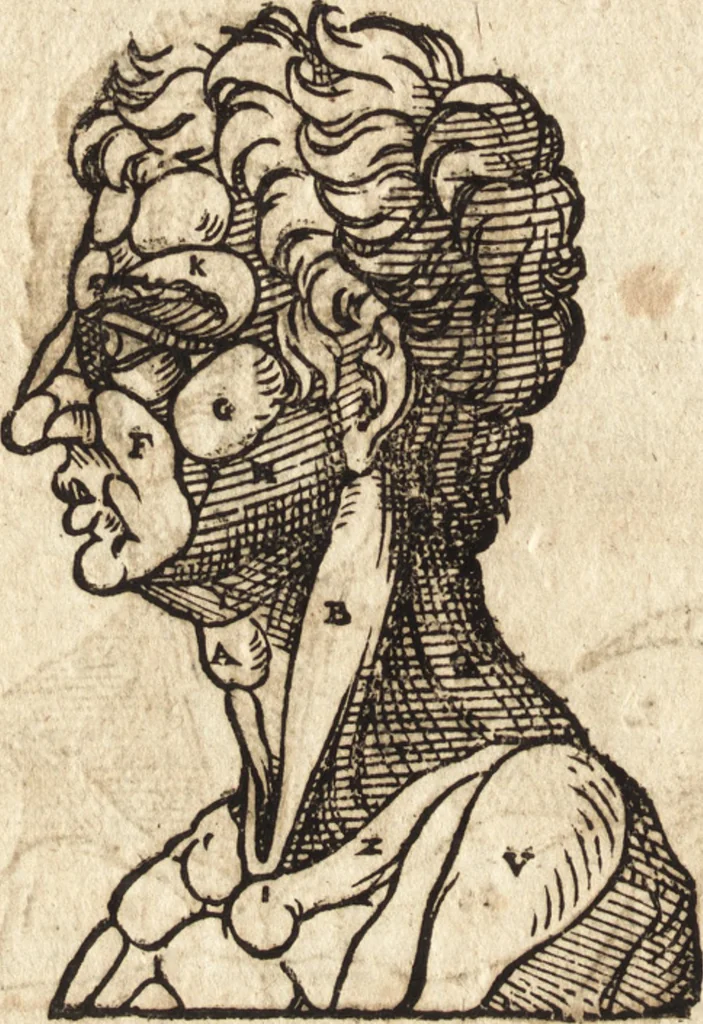 An illustration from Varia conmensuracion para le escultura y arquitectura, 1675, leaf 141