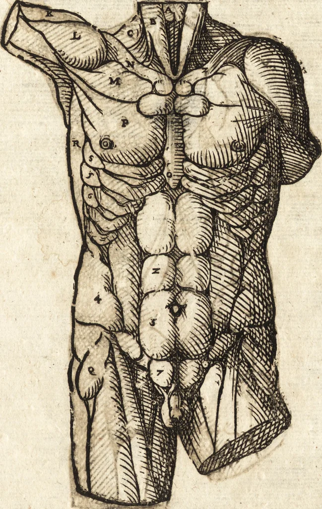 An illustration from Varia conmensuracion para le escultura y arquitectura, 1675, leaf 146