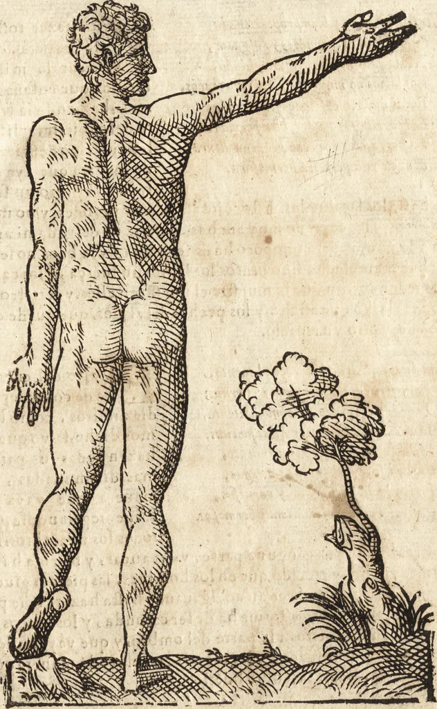 An illustration from Varia conmensuracion para le escultura y arquitectura, 1675, leaf 160