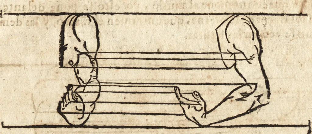 An illustration from Varia conmensuracion para le escultura y arquitectura, 1675, leaf 178