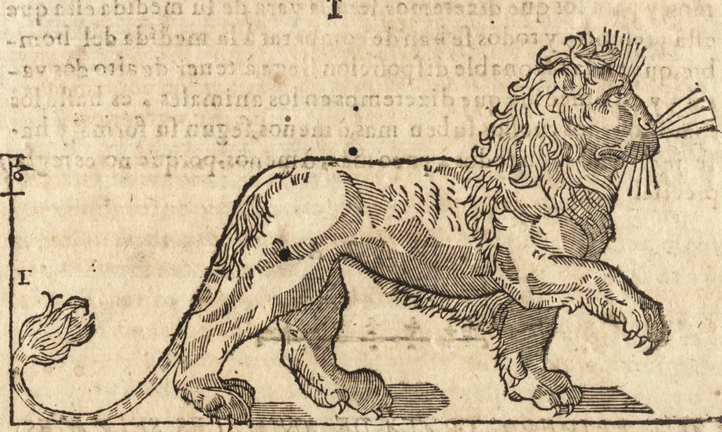 An illustration from Varia conmensuracion para le escultura y arquitectura, 1675, leaf 189