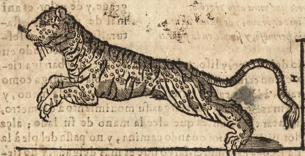 An illustration from Varia conmensuracion para le escultura y arquitectura, 1675, leaf 189