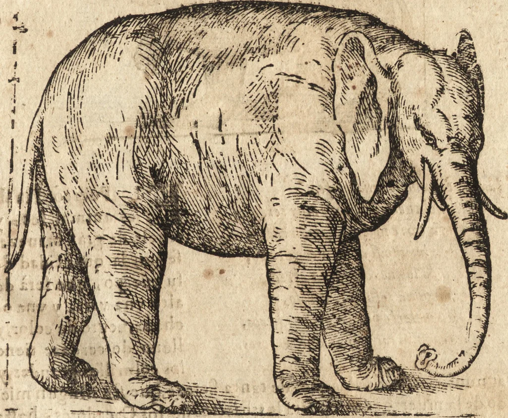 An illustration from Varia conmensuracion para le escultura y arquitectura, 1675, leaf 190