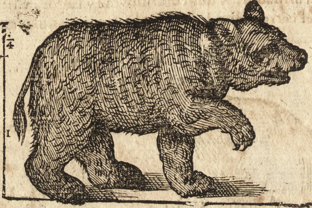 An illustration from Varia conmensuracion para le escultura y arquitectura, 1675, leaf 191