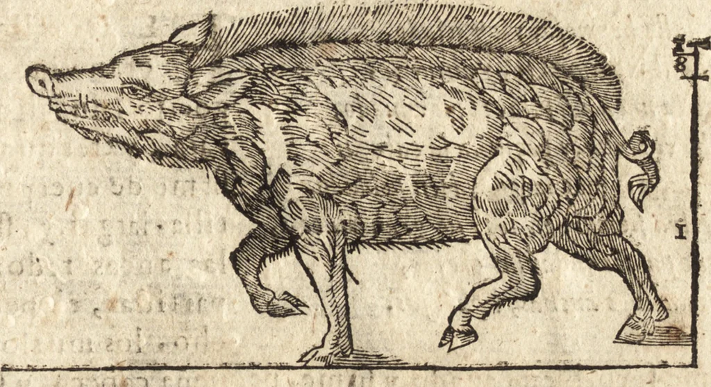 An illustration from Varia conmensuracion para le escultura y arquitectura, 1675, leaf 192