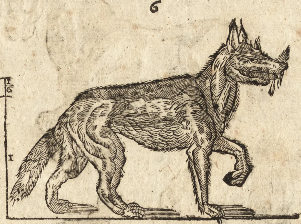 An illustration from Varia conmensuracion para le escultura y arquitectura, 1675, leaf 192