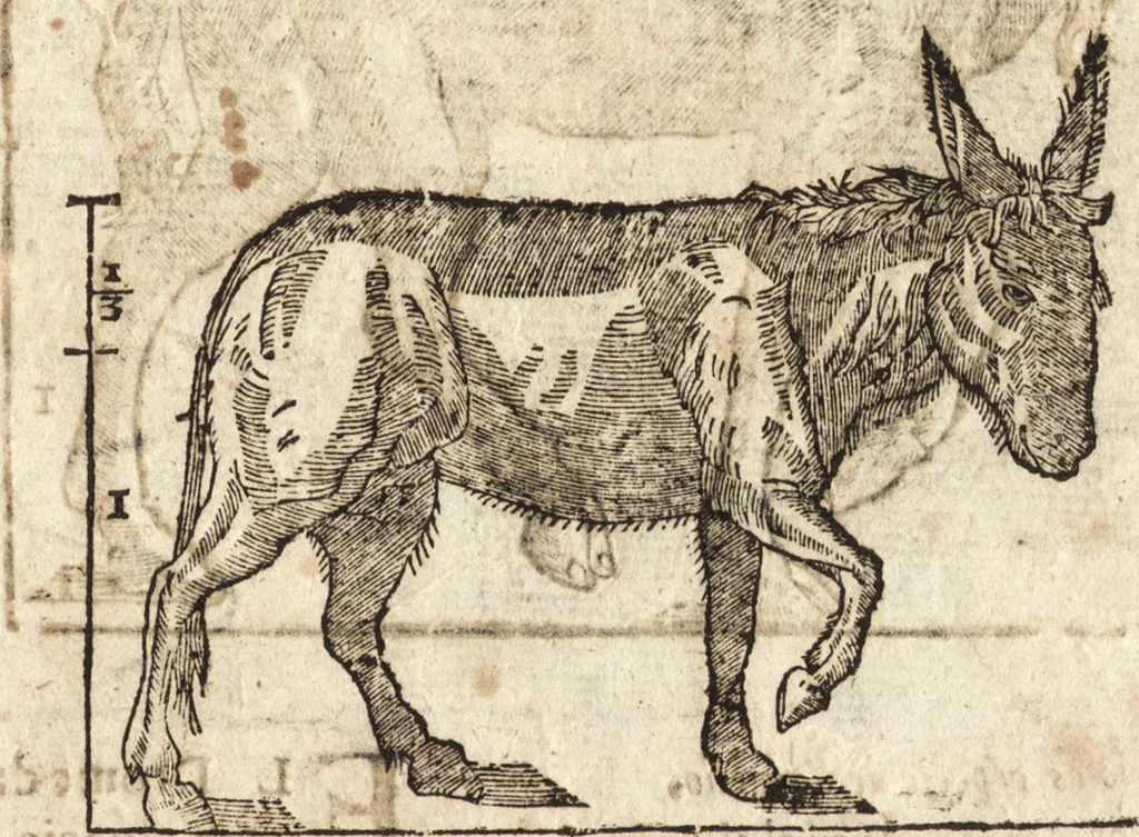 An illustration from Varia conmensuracion para le escultura y arquitectura, 1675, leaf 194