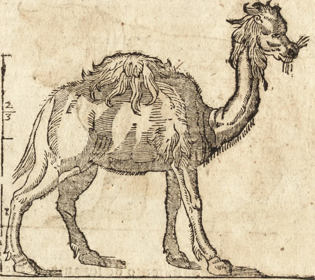 An illustration from Varia conmensuracion para le escultura y arquitectura, 1675, leaf 196