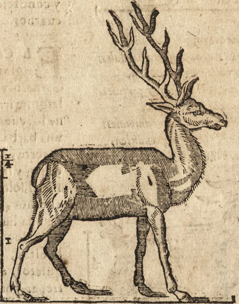 An illustration from Varia conmensuracion para le escultura y arquitectura, 1675, leaf 198