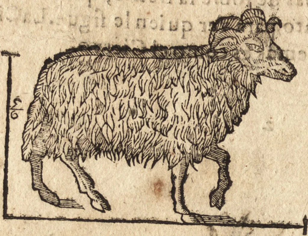 An illustration from Varia conmensuracion para le escultura y arquitectura, 1675, leaf 199