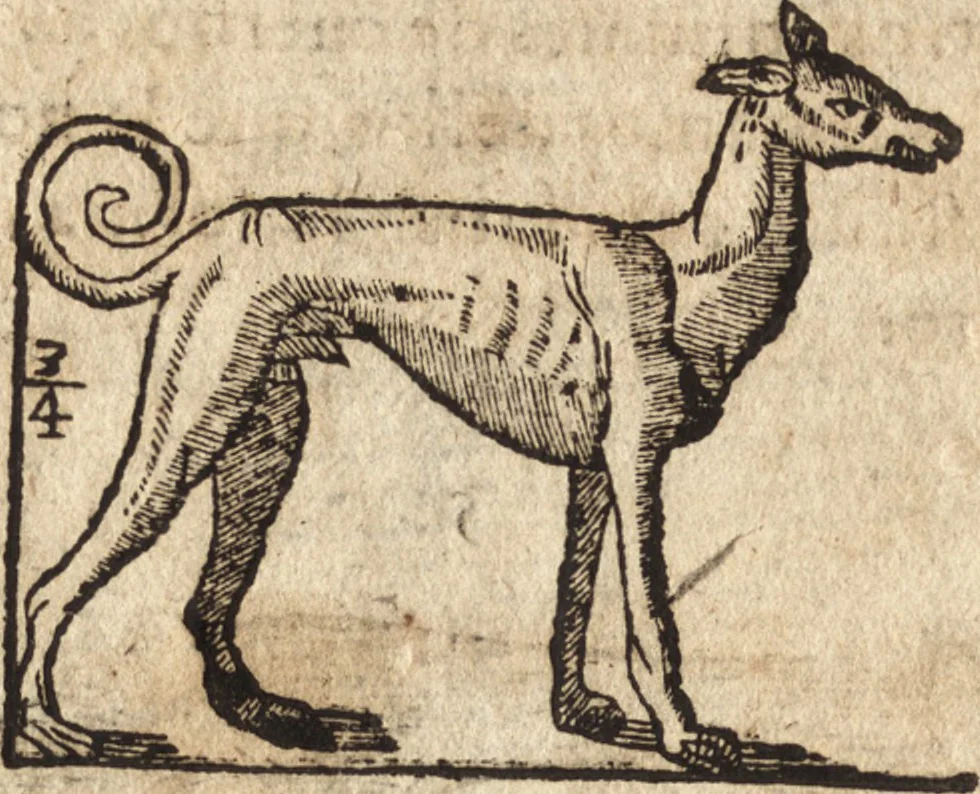An illustration from Varia conmensuracion para le escultura y arquitectura, 1675, leaf 201
