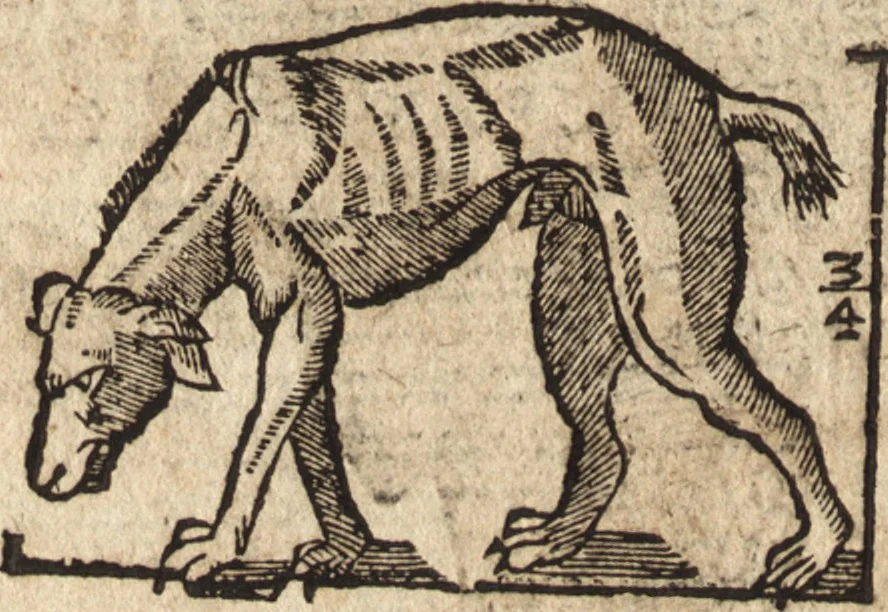 An illustration from Varia conmensuracion para le escultura y arquitectura, 1675, leaf 201