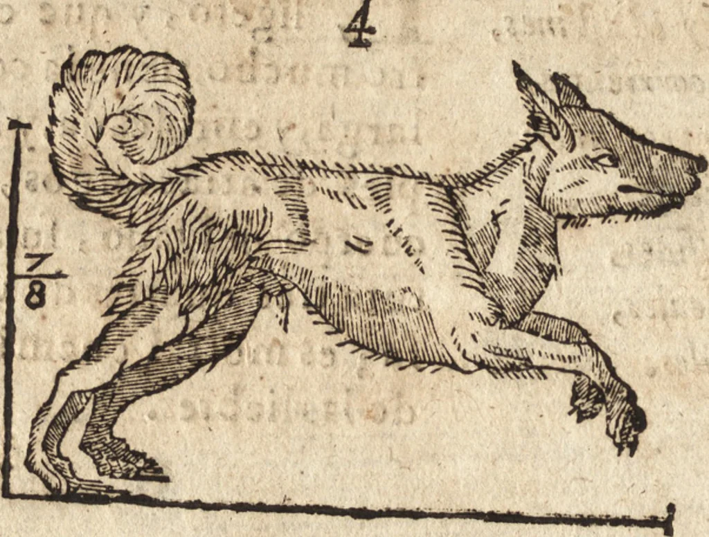 An illustration from Varia conmensuracion para le escultura y arquitectura, 1675, leaf 201