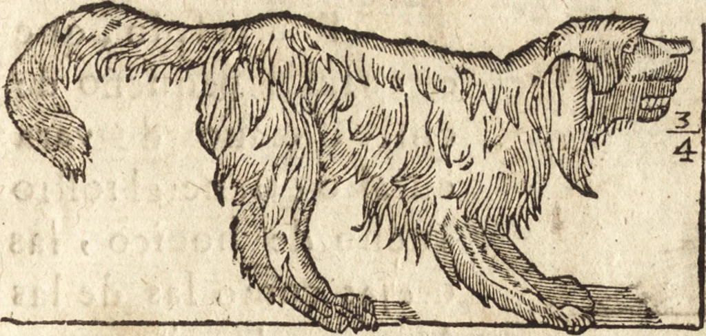An illustration from Varia conmensuracion para le escultura y arquitectura, 1675, leaf 202