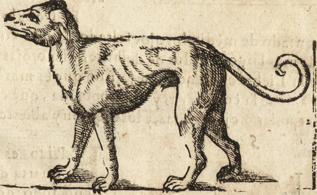An illustration from Varia conmensuracion para le escultura y arquitectura, 1675, leaf 202