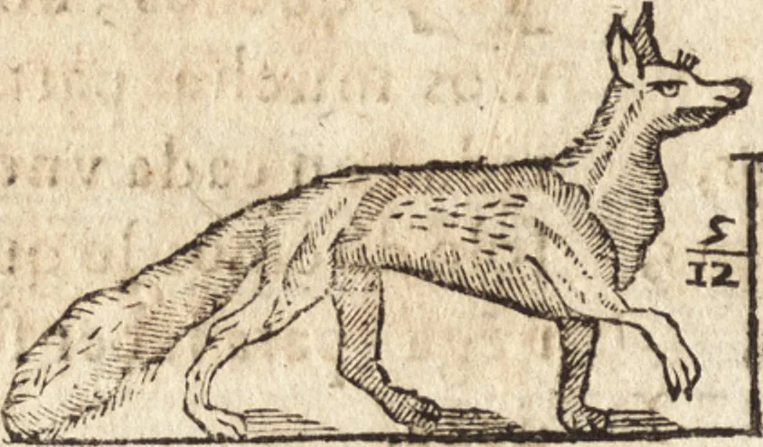 An illustration from Varia conmensuracion para le escultura y arquitectura, 1675, leaf 203