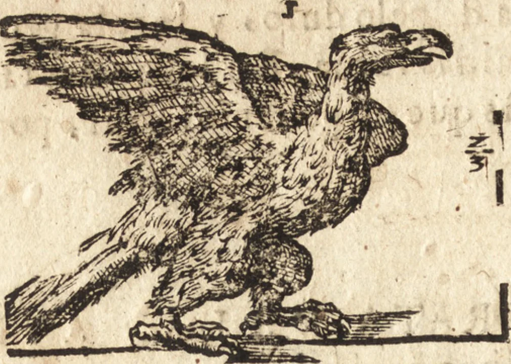 An illustration from Varia conmensuracion para le escultura y arquitectura, 1675, leaf 205