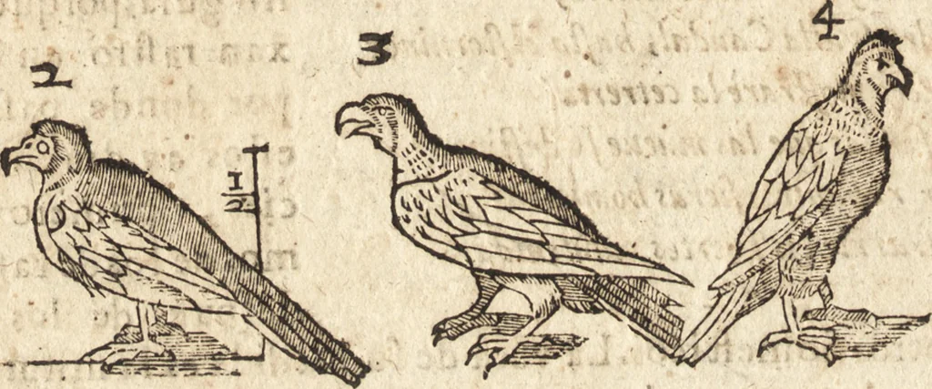 An illustration from Varia conmensuracion para le escultura y arquitectura, 1675, leaf 205