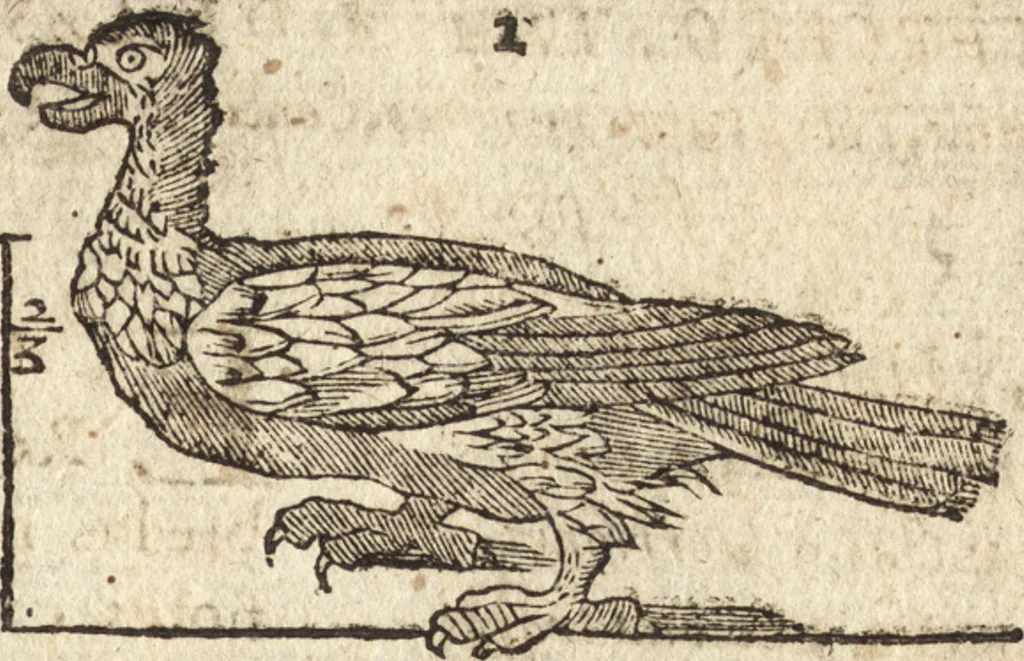 An illustration from Varia conmensuracion para le escultura y arquitectura, 1675, leaf 206