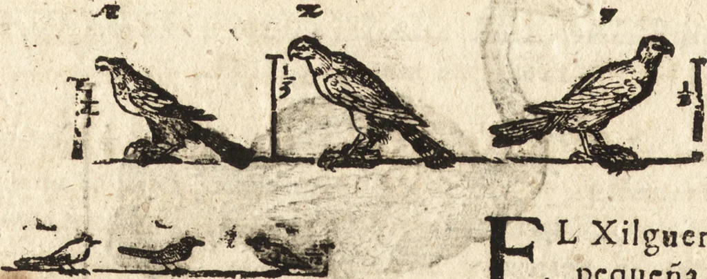 An illustration from Varia conmensuracion para le escultura y arquitectura, 1675, leaf 207