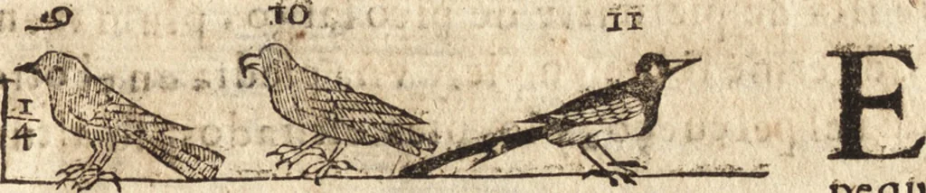 An illustration from Varia conmensuracion para le escultura y arquitectura, 1675, leaf 208