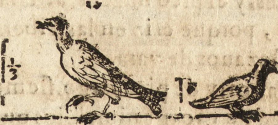 An illustration from Varia conmensuracion para le escultura y arquitectura, 1675, leaf 208