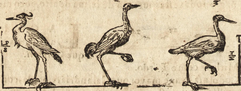 An illustration from Varia conmensuracion para le escultura y arquitectura, 1675, leaf 209