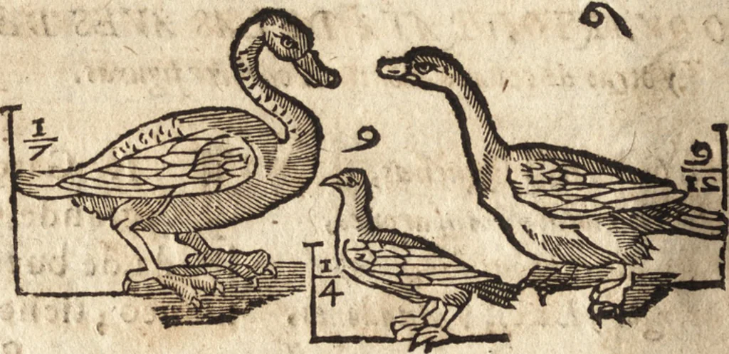 An illustration from Varia conmensuracion para le escultura y arquitectura, 1675, leaf 209