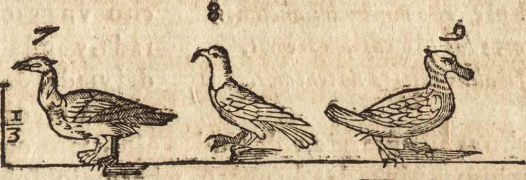 An illustration from Varia conmensuracion para le escultura y arquitectura, 1675, leaf 210