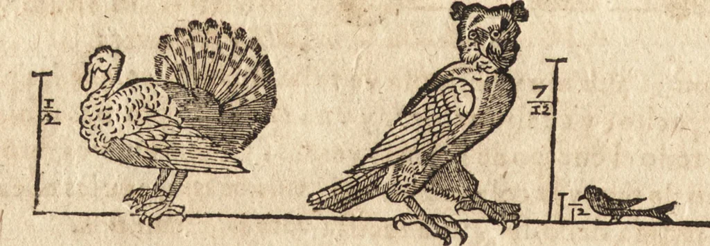 An illustration from Varia conmensuracion para le escultura y arquitectura, 1675, leaf 211